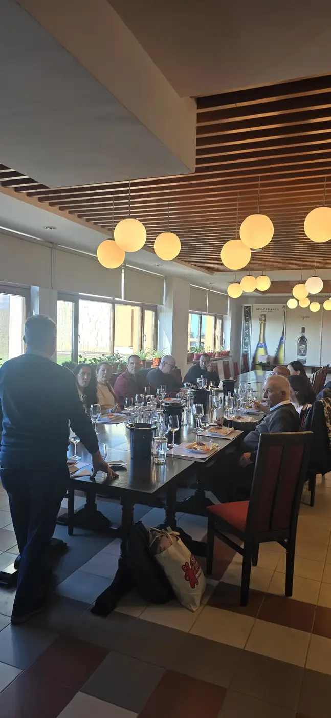 Romanian Winery Tour