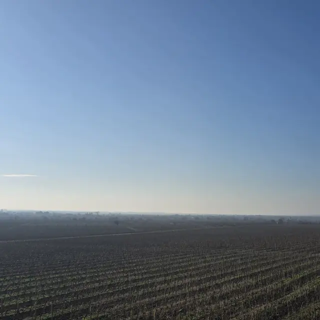 Vignobles — Romanian Unique Tours 2