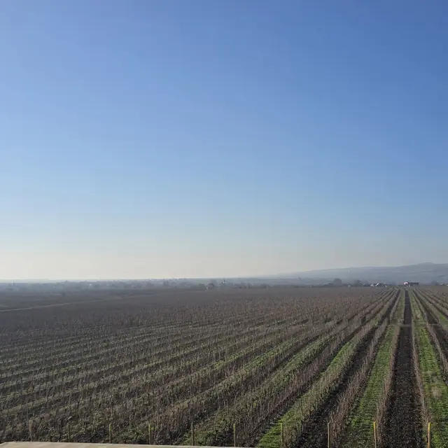 Vignobles — Romanian Unique Tours 4